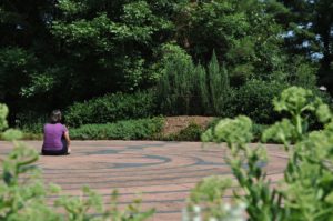 contemplation-176883_1920